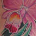 Tattoos - Cattleya Orchid - 42414